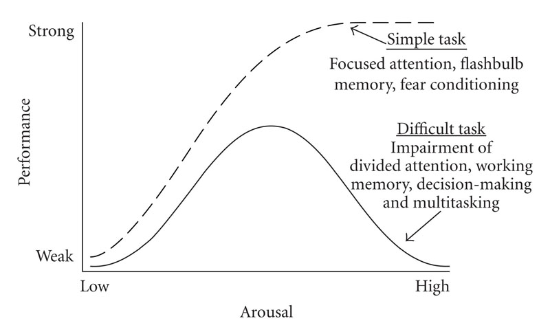 SDT identifies three innate needs that, if satisfied, allow optimal function and growth.