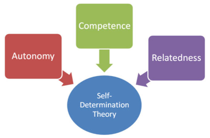 SDT identifies three innate needs that, if satisfied, allow optimal function and growth.