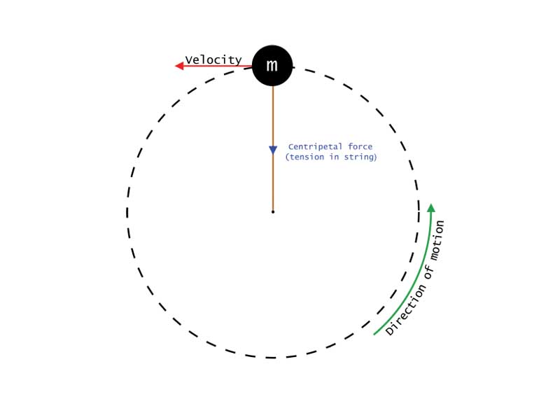 Vector diagram showing the tension in a string acting as the centripetal force needed for uniform circular motion.