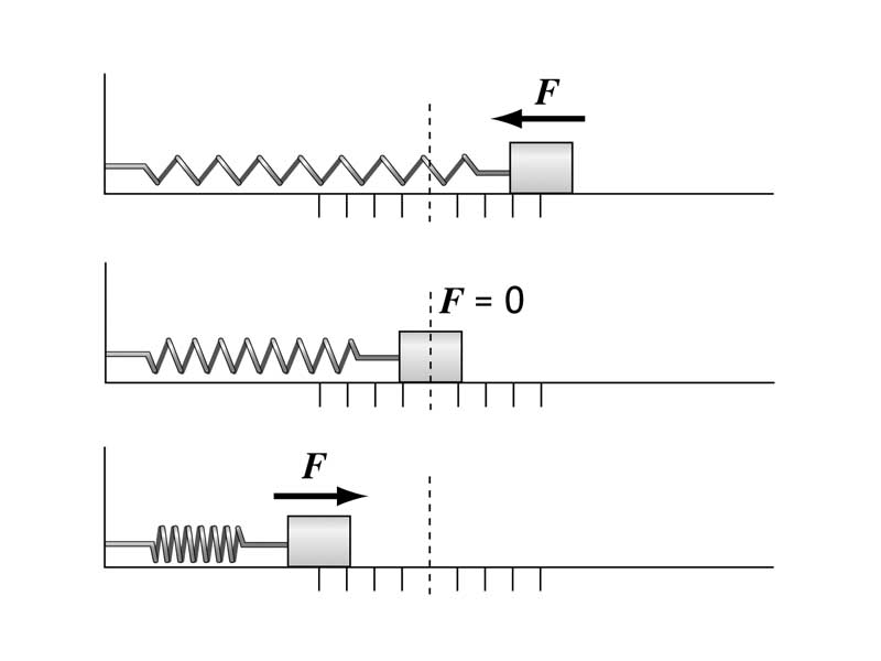 Restoring force of a mass-spring