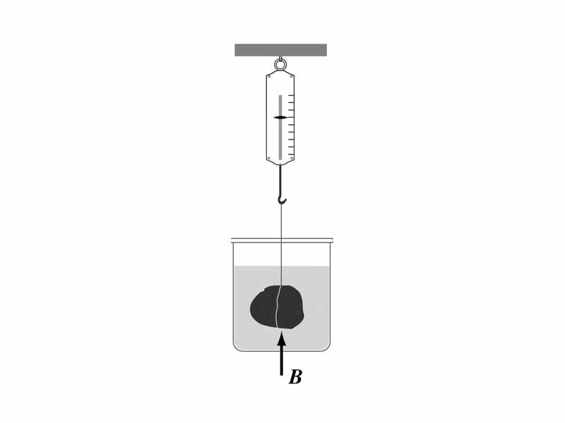 Illustration of Archimedes principle