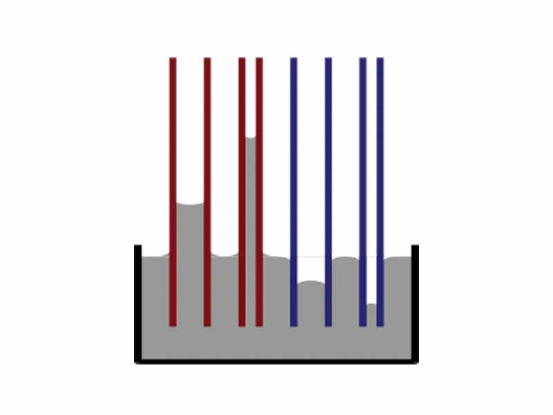 Illustration of capillary rise and fall. Red=contact angle less than 90°; blue=contact angle greater than 90°