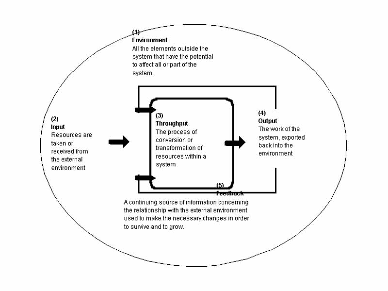 Open system (system theory)