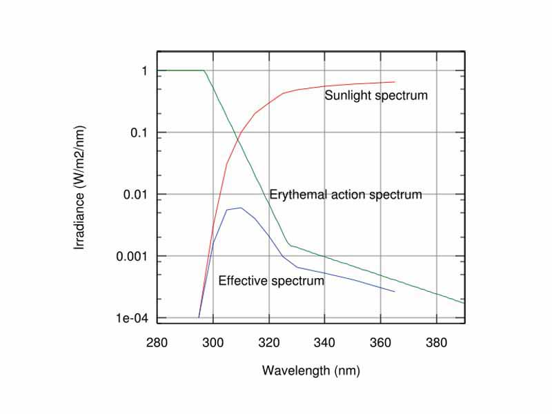 The reddening of the skin due to the action of sunlight depends both on the amount of sunlight as well as the sensitivity of the skin (erythemal action spectrum) over the UV spectrum.