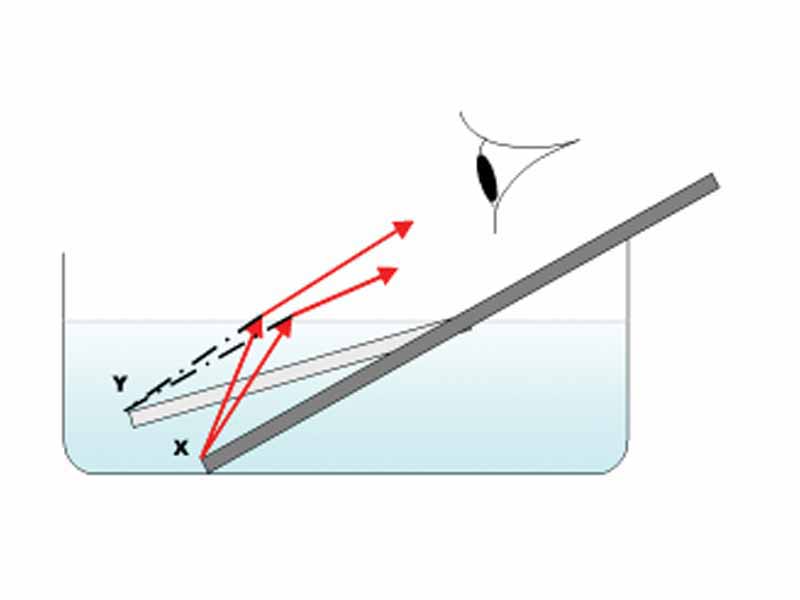 Refraction of light waves in water. The dark rectangle represents the actual position of a pencil sitting in a bowl of water. The light rectangle represents the apparent position of the pencil. Notice that the end (X) looks like it is at (Y), a position that is considerably shallower than (X).