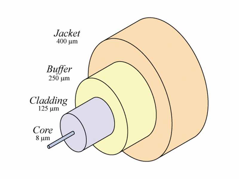 A typical single-mode optical fiber, showing diameters of the component layers.