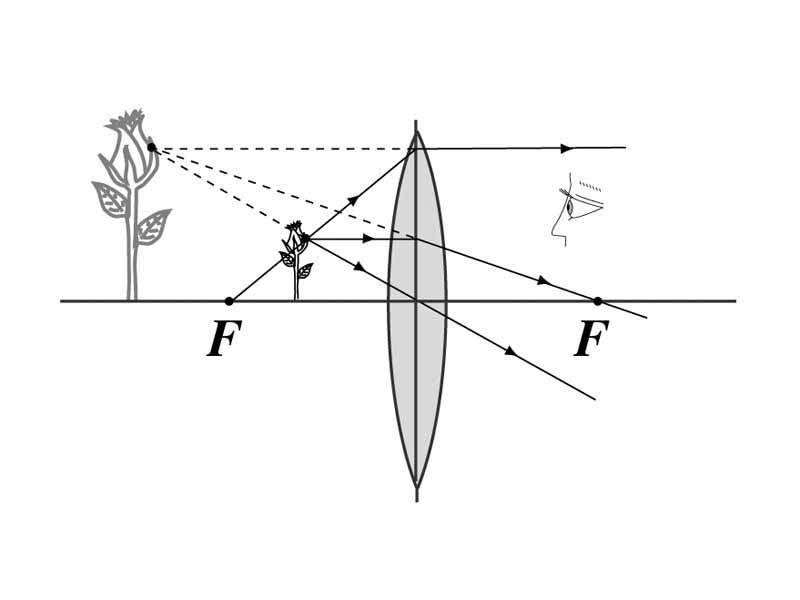 Converging lens - object less than focal length produces enlarged virtual image.