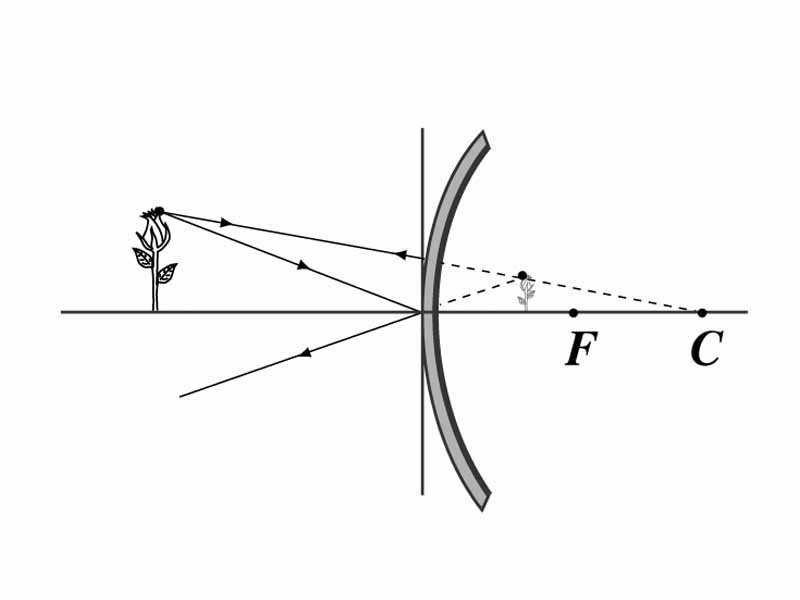 Convex mirror