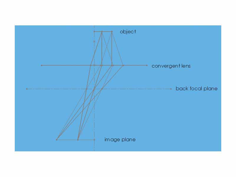 Rays with the same angle cross at the back focal plane.