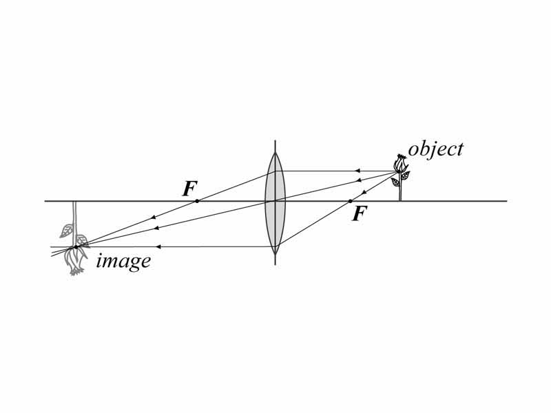 Converging lens illustration