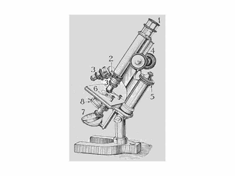 1. ocular lens or eye-piece  -  2. objective turret, or nosepiece  -  3. objective lenses  -  4. coarse adjustment knob  - 5. fine adjustment knob  -  6. object holder or stage  -  7. mirror  -  8. diaphragm and condenser