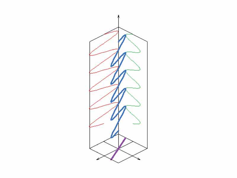 The two orthogonal (perpendicular) components are in phase. In this case the ratio of the strengths of the two components is constant, so the direction of the electric vector (the vector sum of these two components) is constant. Since the tip of the vector traces out a single line in the plane, this special case is called linear polarization. The direction of this line depends on the relative amplitudes of the two components.