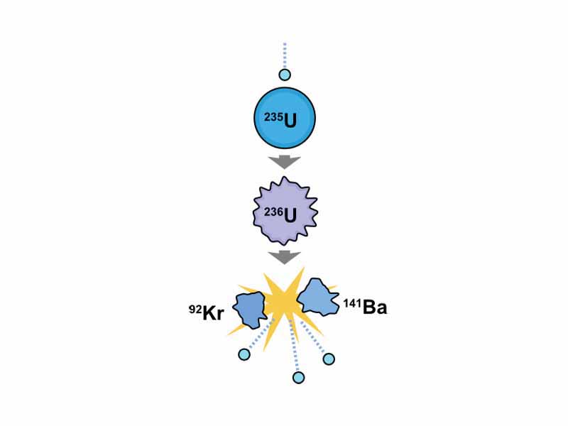 An induced nuclear fission event. A slow-moving neutron is absorbed by the nucleus of a uranium-235 atom, which in turn splits into fast-moving lighter elements (fission products) and free neutrons.