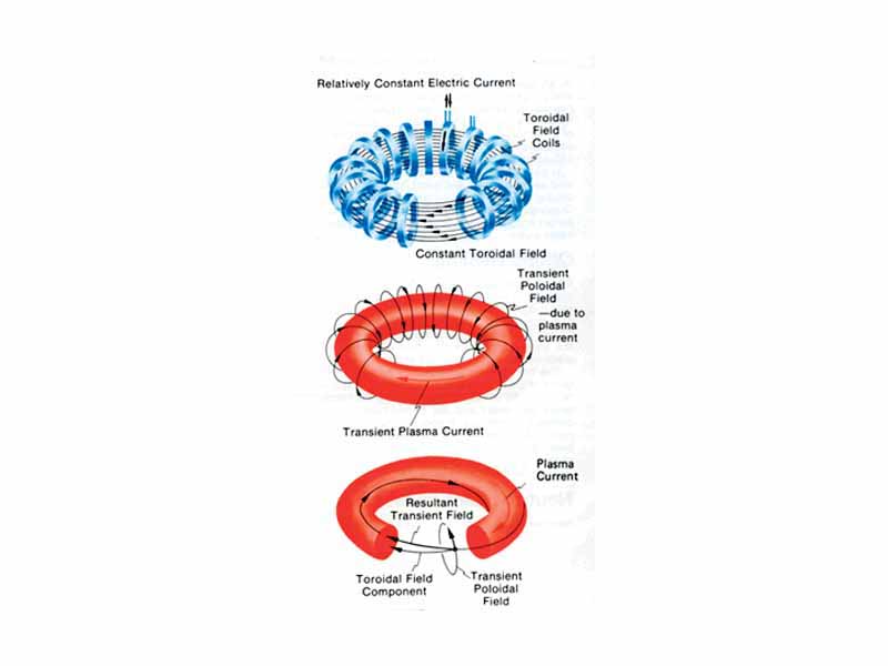 Tokamak magnetic field and current