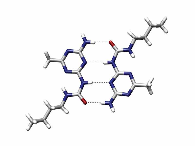 An example of a quadruple hydrogen bond between a self-assembled dimer complex reported by Meijer and coworkers.