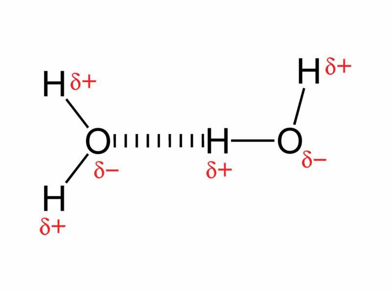 Hydrogen bonding in water