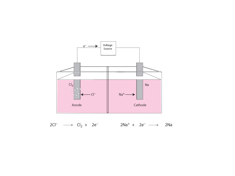 Electrolysis of molten NaCl.