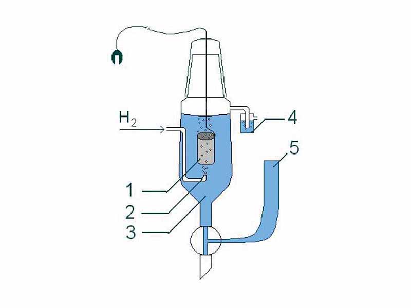 Standard hydrogen electrode