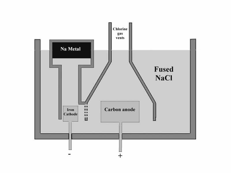 Schematic diagram of the Downs' Cell