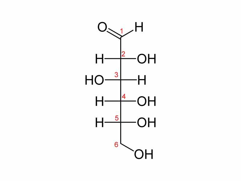 The Fischer projection of the chain form of D-glucose