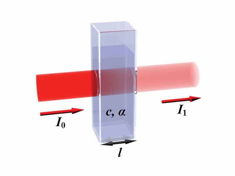 Diagram of Beer-Lambert absorption of a beam of light as it travels through a cuvette of size l.