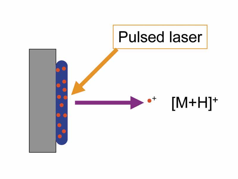 Matrix-assisted laser desorption ionization depicted with matrix in blue and analyte in red