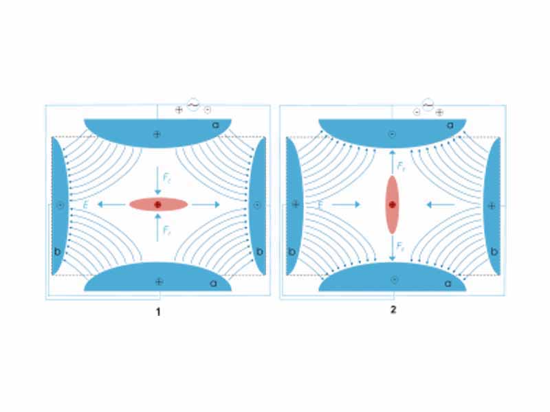 Scheme of a Quadrupole ion trap of classical setup with a particle of positive charge (red), surrounded by a cloud of similarly charged particles (red). The electric field E (blue) is generated by a quadrupole of endcaps (a, positive) and a ring electrode (b). Picture 1 and 2 show two states during an AC cycle.