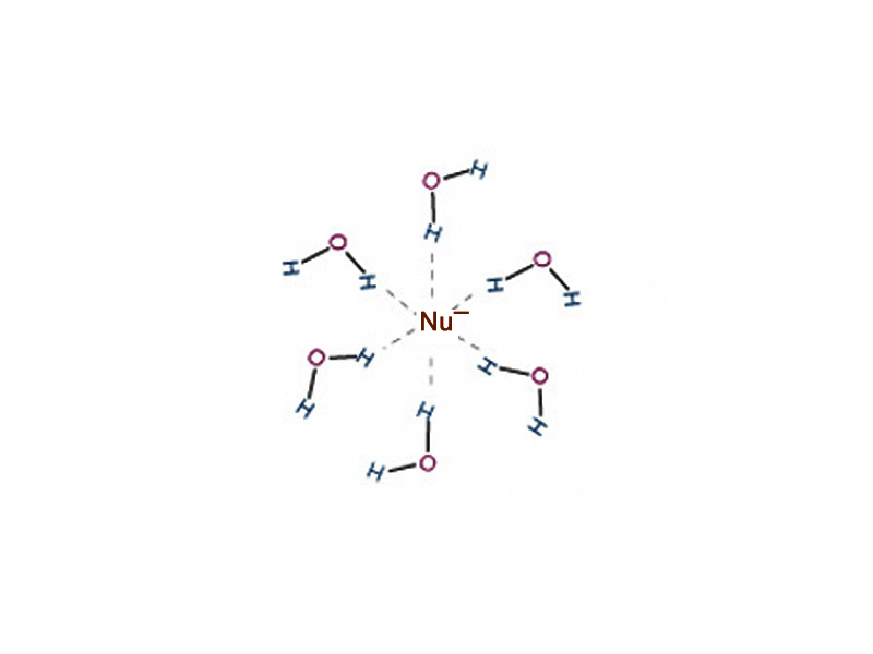 Solvation of a nucleophile.