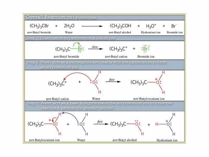 Diagram of the SN1 mechanistic steps for hydrolysis of an alkyl halide.