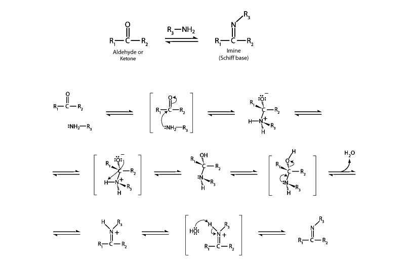 Imine formation