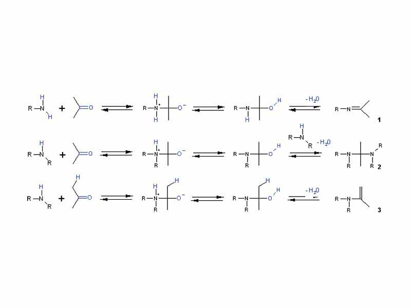 Alkylimino-de-oxo-bisubstitution