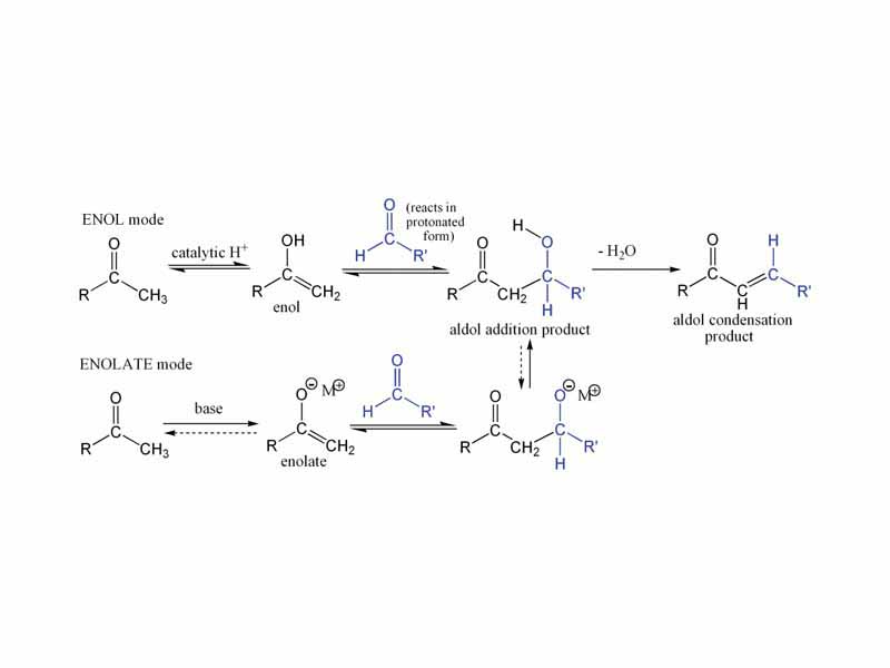 A simple overview of the aldol reaction including the aldol condensation. The scheme shows both enol and enolate modes of addition.