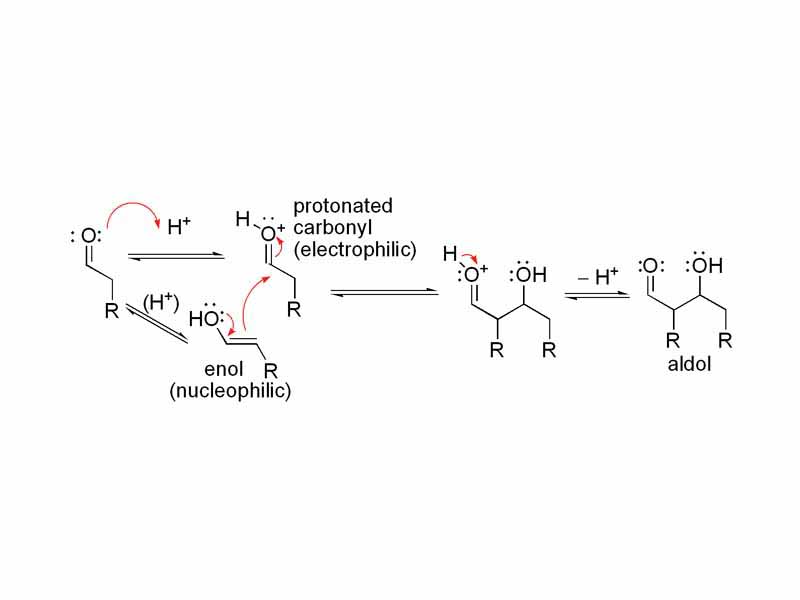 Acid catalyzed aldol mechanism