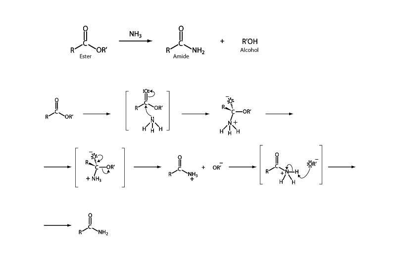 Aminolysis of ester.