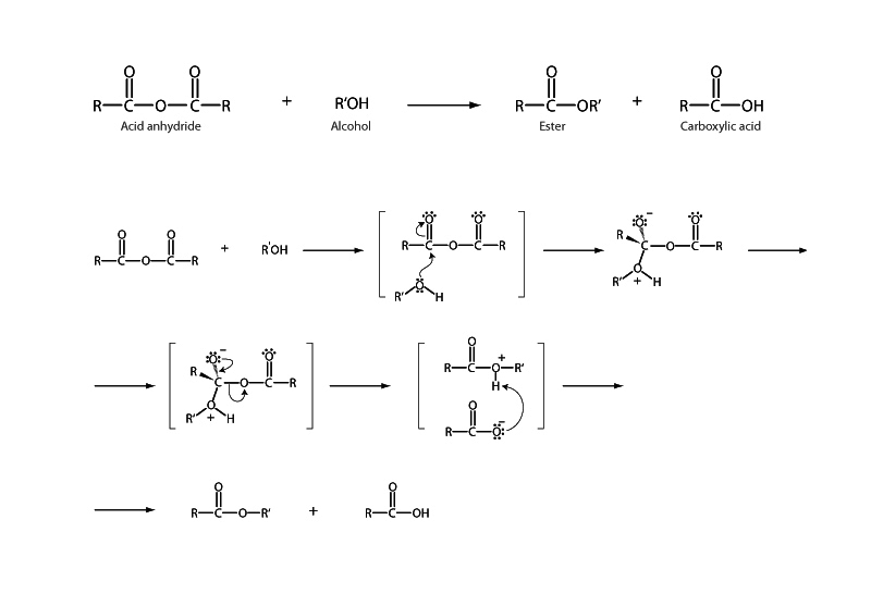 Esterification of anhydride
 