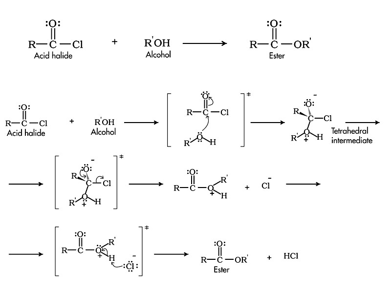 Esterification of acid halides.