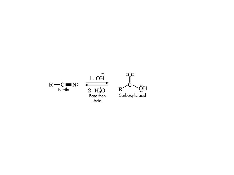 Nitrile hydrolysis.