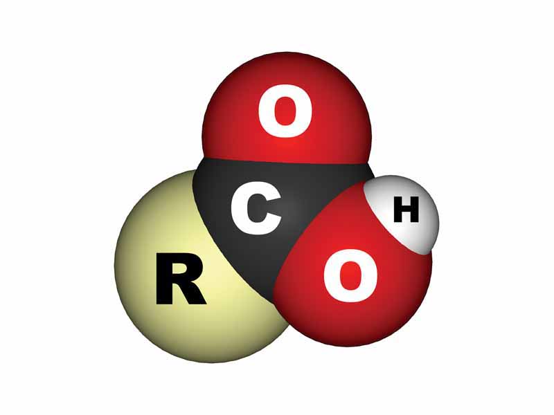 Carboxylic acid structure space filling