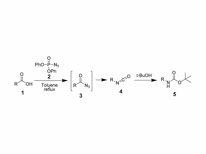 Curtius rearrangement.  Using diphenylphosphorylazide to convert an acid to a BOC-protected amine.