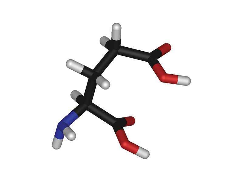 L-glutamic acid - stick model