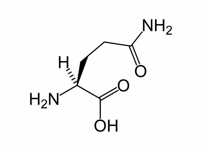 L-glutamine