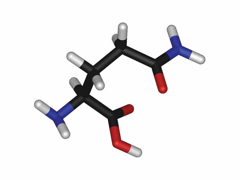 L-glutamine - stick model