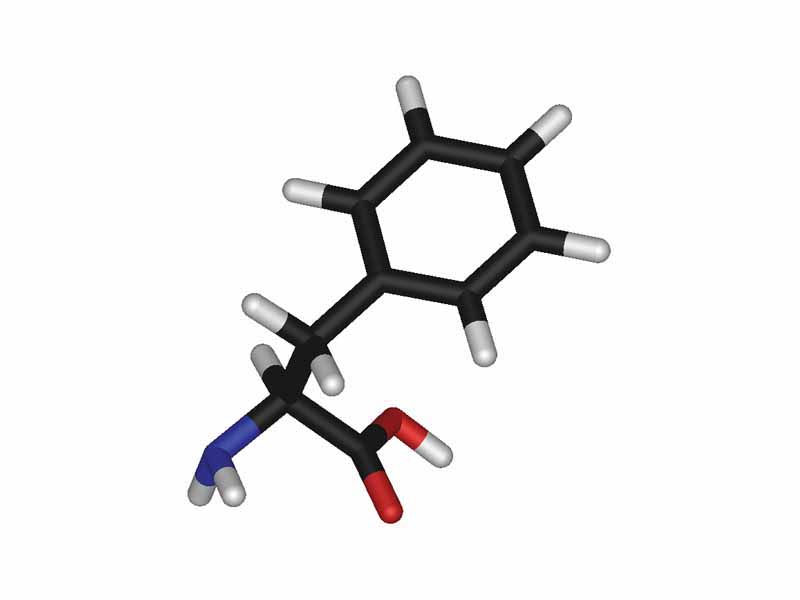 L-phenylalanine - stick model