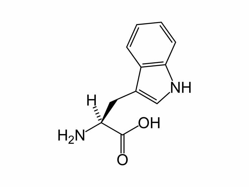 L-tryptophan