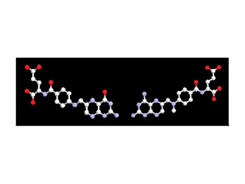 The coenzyme folic acid (left) and the anti-cancer drug methotrexate (right) are very similar in structure. As a result, methotrexate is a competitive inhibitor of many enzymes that use folates.