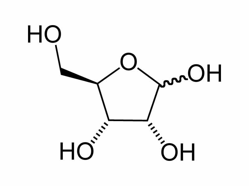 Ribose structure