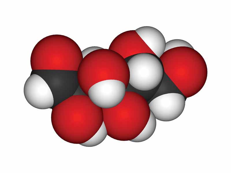 Glucose - chain form: space-filling model