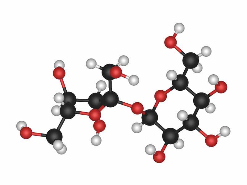 Sucrose ball and stick