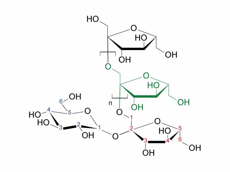 Inulin, an oligosaccharide.