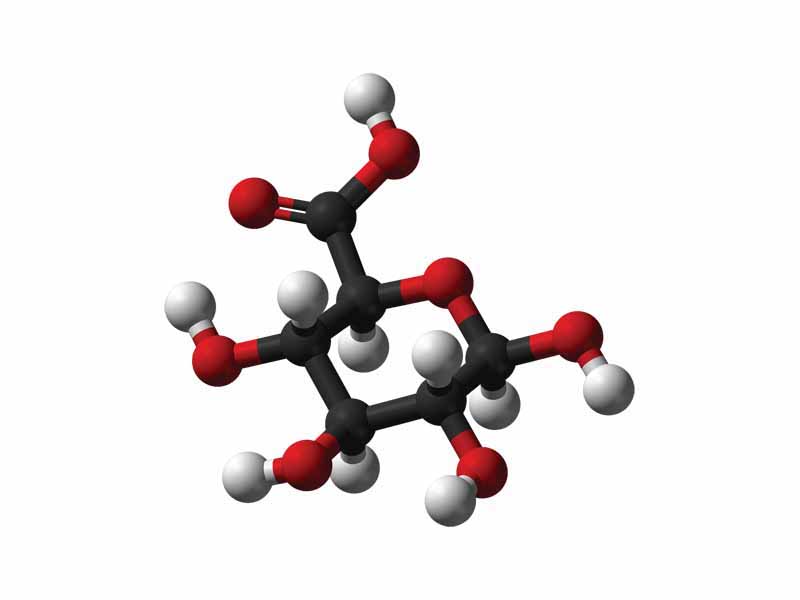 Beta D-glucuronic acid ball and stick